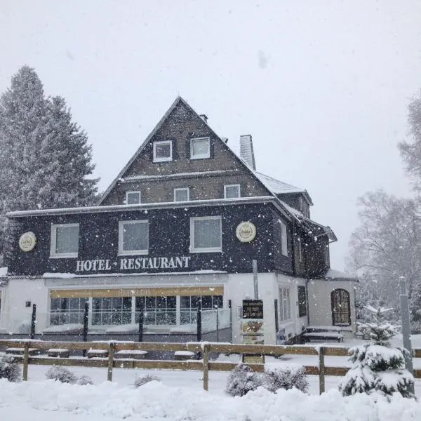Hotel Herrloh, hôtel à Winterberg