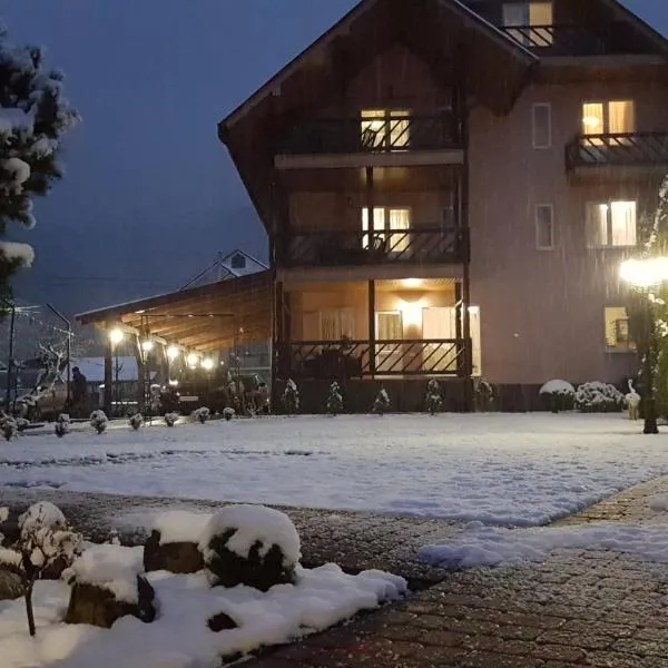 U Neli, hotel in Solochin