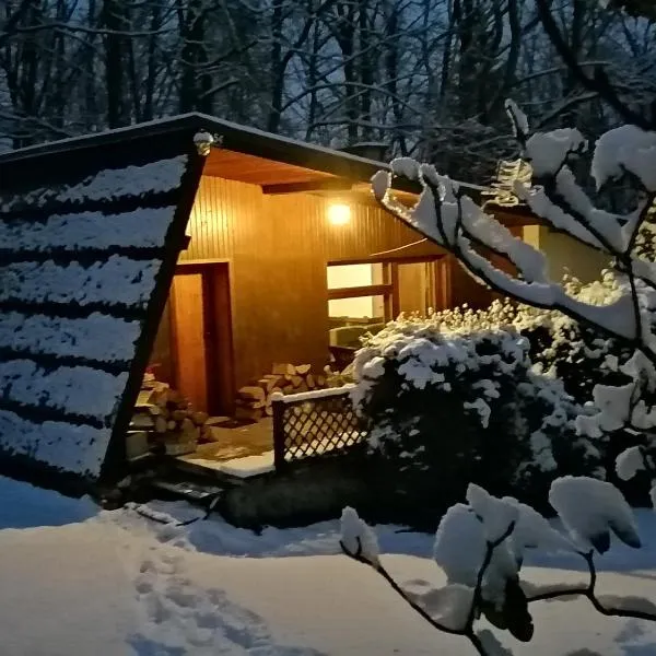 Chałpa na skarpie, hotel di Meszna