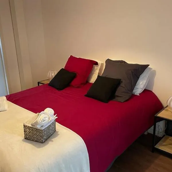 T1 bis 35 m2 lit queen size tout équipé, hôtel à Pau