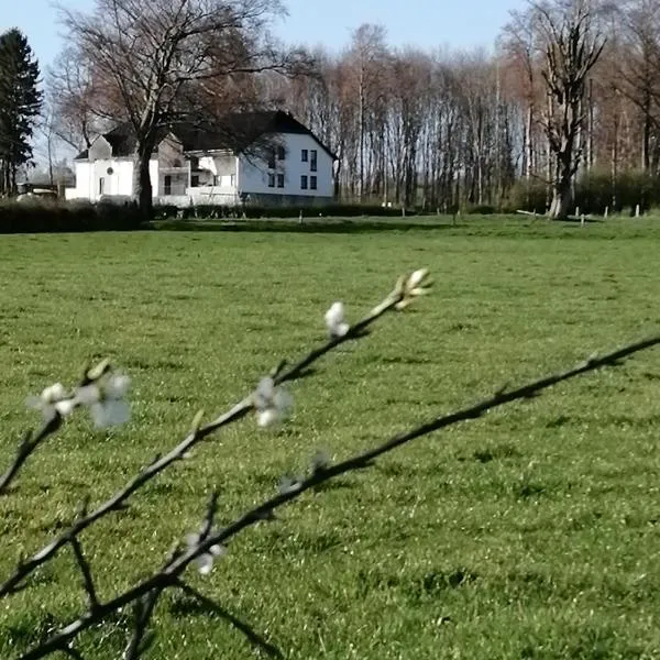 생비트에 위치한 호텔 B&B V.K. PGmbH