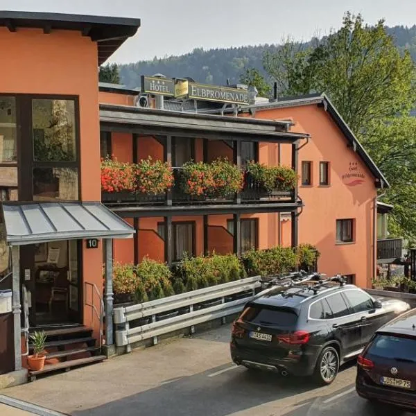 Hotel Elbpromenade, hotel in Kirnitzschtal