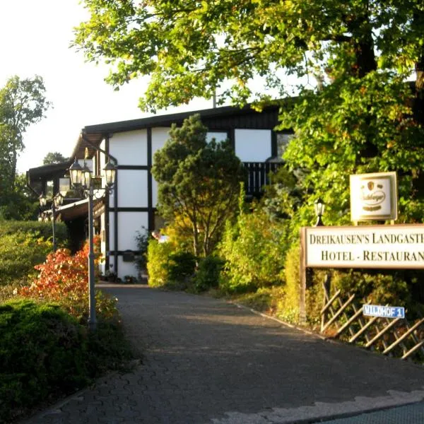 Dreikausens Landgasthaus Wildhof, hotel en Weiperfelden