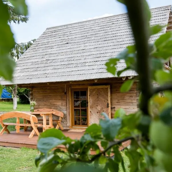 ETNO house, viešbutis mieste Vilkiautinis