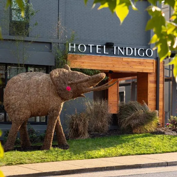 Hotel Indigo Chattanooga - Downtown, an IHG Hotel, hotel v mestu Chattanooga