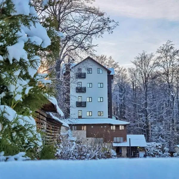 Dor de Munte Straja, hotel in Lupeni