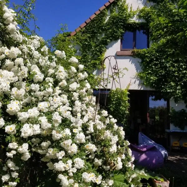 Gerstheim에 위치한 호텔 chambre d'hôtes de charme, un temps en forêt