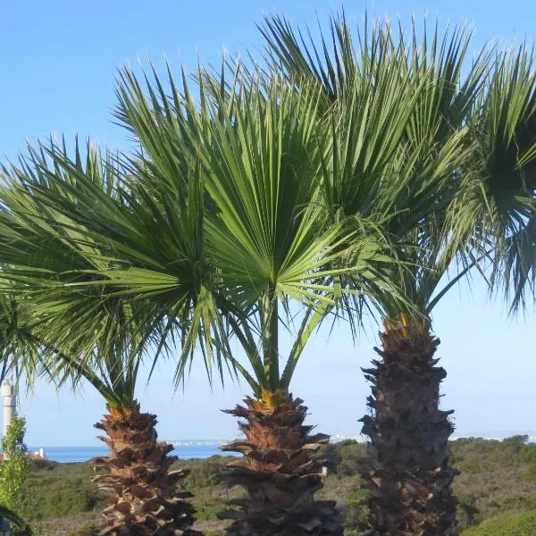 Three Palms Apartment, hotel di Ferragudo