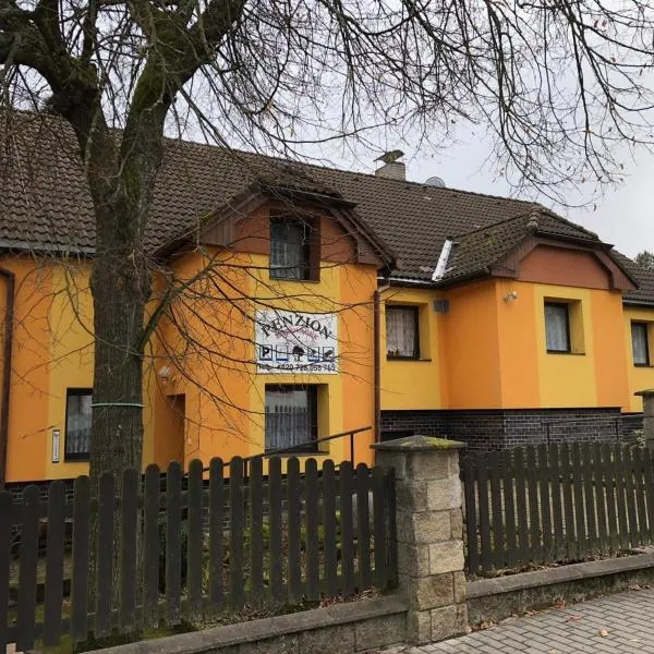 Penzion Borováček, hotel v destinaci Borová Lada