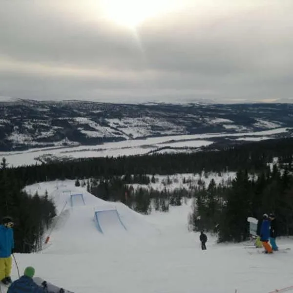 Åre-Bjørnen Falken 17A, отель в Оре