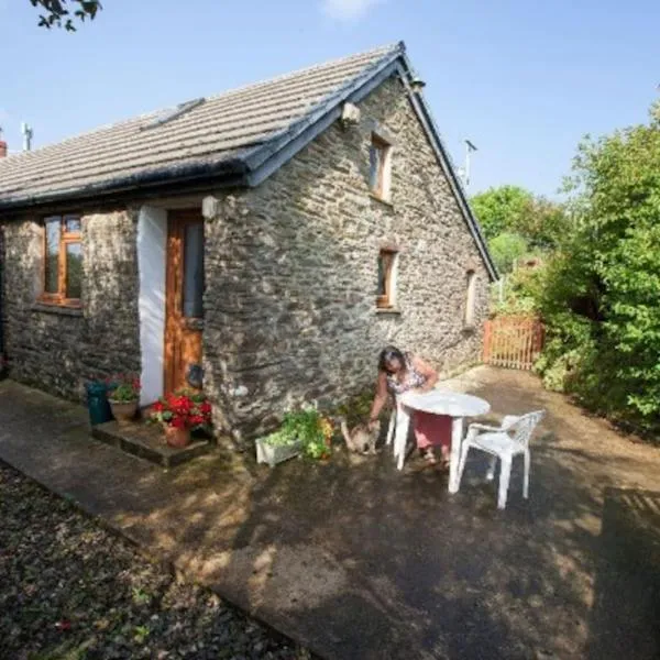 Inviting 2-Bed Cottage in Newcastle Emlyn, hotel in Cwm-Duad