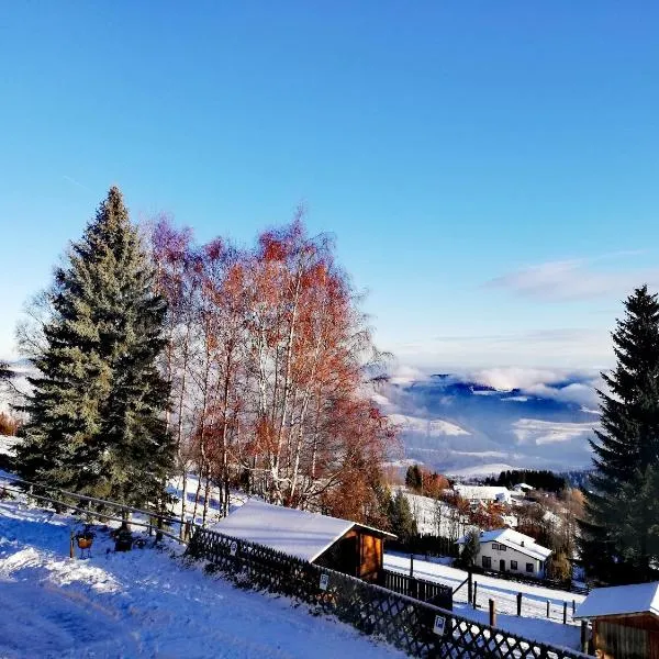 WeiXL Schi&Bike Appartements-Bike in&Bike out neben Wexl Trails Bikepark, hotel in Sankt Corona am Wechsel