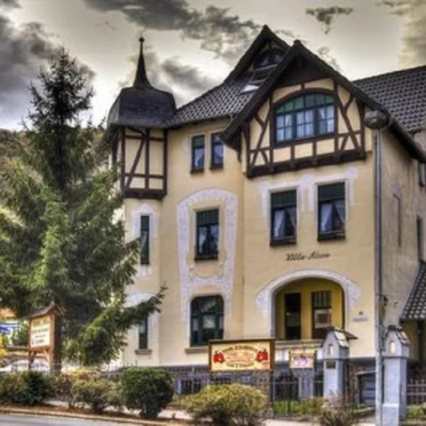 Hotel Villa Alice, hotel in Treseburg