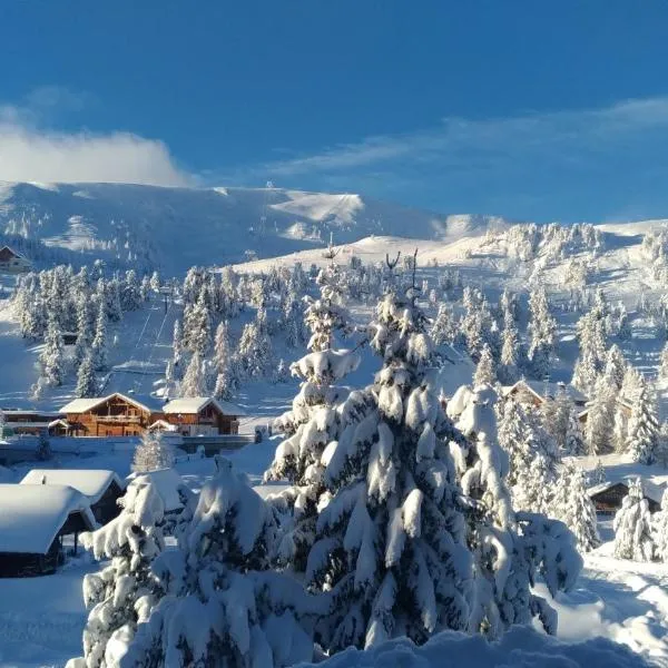 Brandstätter에 위치한 호텔 Wohnung im Herzen der Turracher Höhe