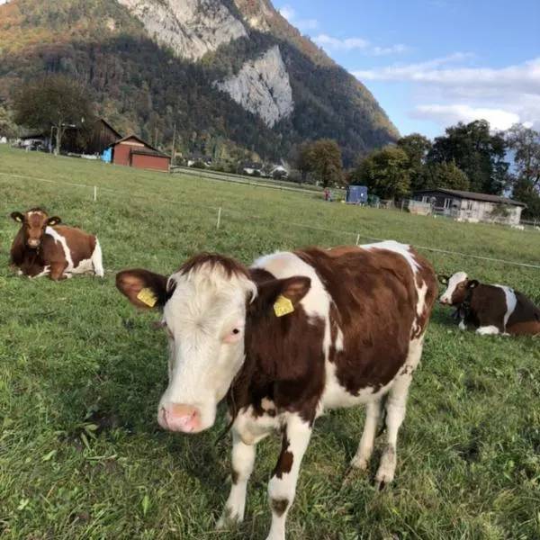 STUDIO THE COW: Kandersteg şehrinde bir otel