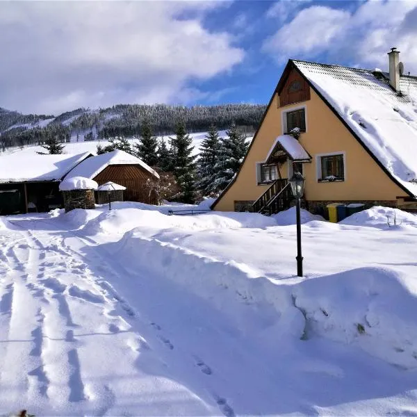 Family apartments V Zátiší, hotel u gradu 'Dolní Morava'