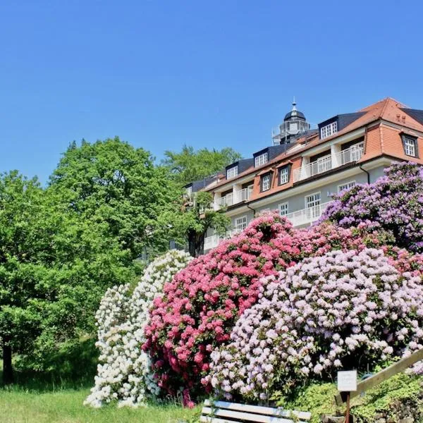 Ferienwohnung Natur und Kunst, hotel in Dresden