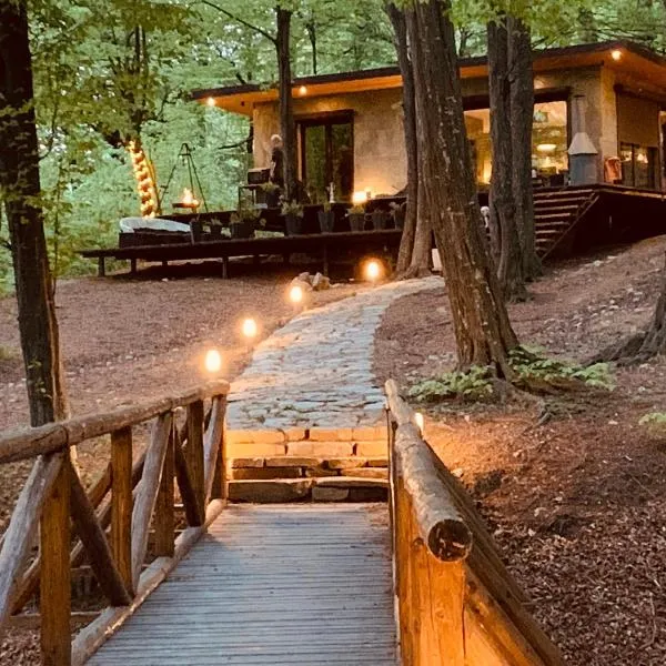 Luxury Lake House & Glamping, hotel en Trăisteni