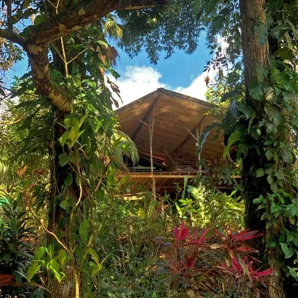 Cascada Verde Hostel, hotel v destinaci Uvita
