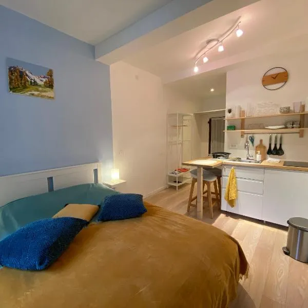 Studio très agréable proche de Auron, Hotel in Saint-Étienne-de-Tinée