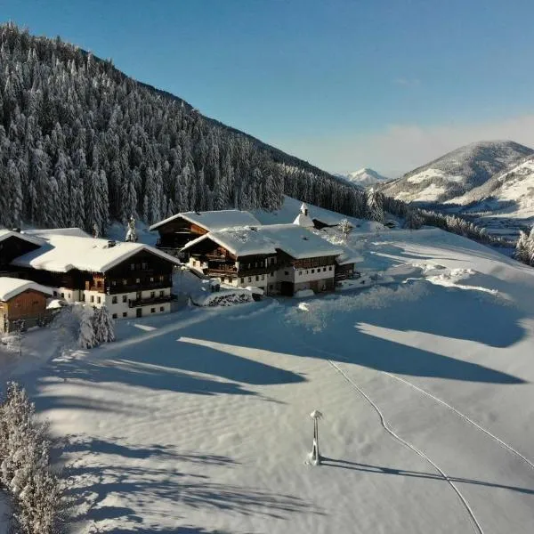 Hattlerhof, hotel v destinaci Heinfels