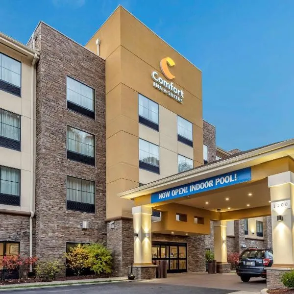 Comfort Inn & Suites, hotel en Bridgeville