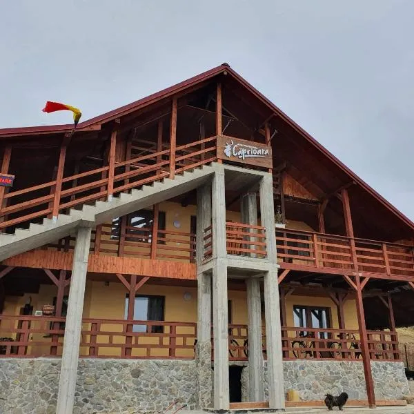 Agropensiunea Căprioara, hotel in Roşcani