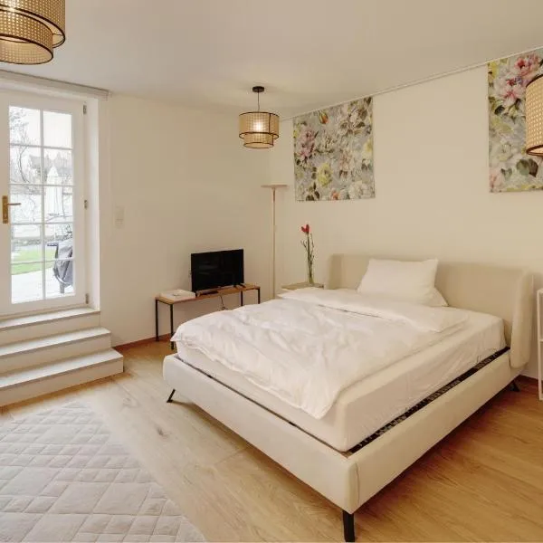 Boutique Apartments Freiburg - Eva, hotel ve Freiburgu