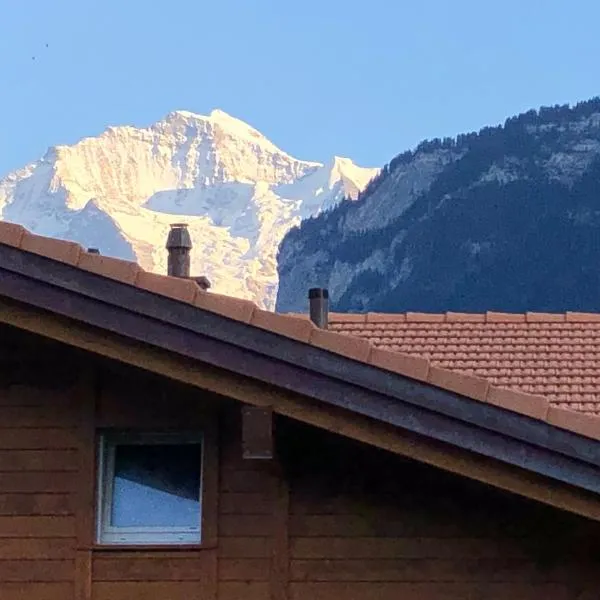 S&P Mountain View Apartment 1, hotel v destinaci Wilderswil