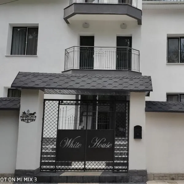 White House, hotel v destinaci Balti