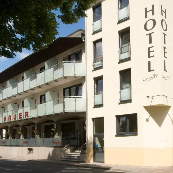 Hotel Hauer, hotel in Bollendorf