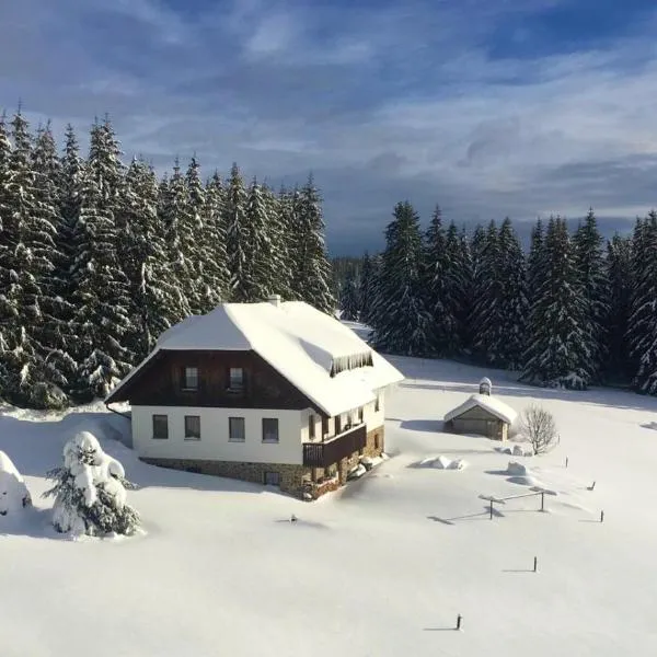 Pension Helena Honesová, hotel in Horská Kvilda