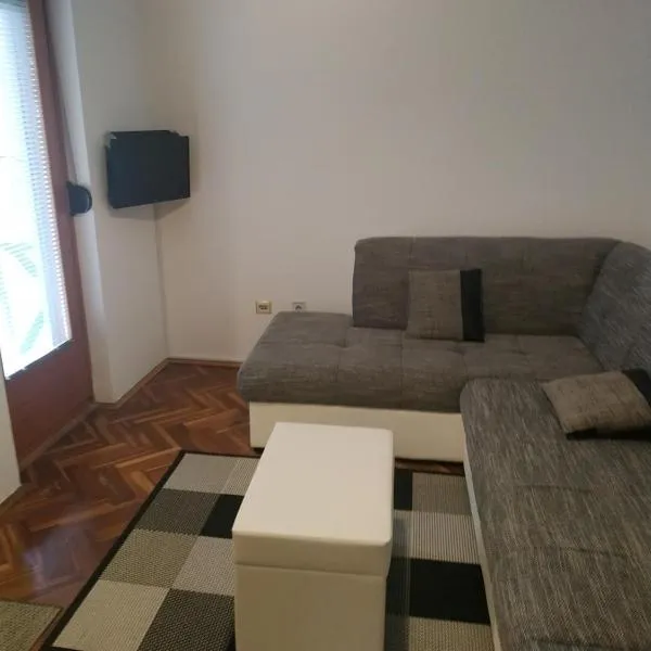 Apartman Zubac, Vrnjacka Banja, hotel in Vrnjci