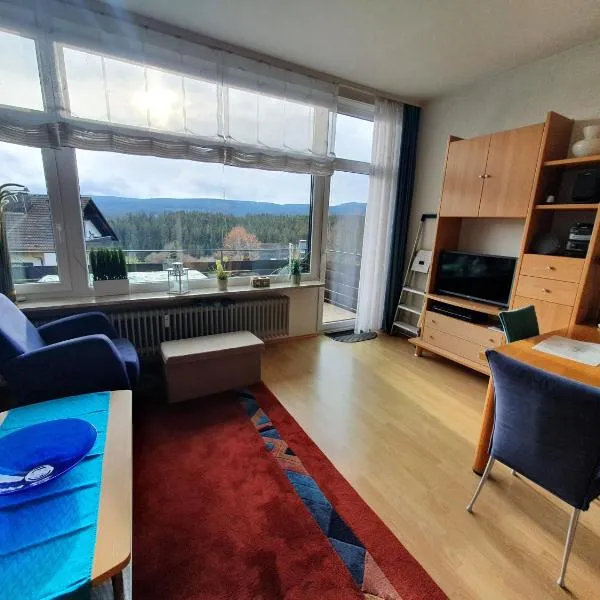 렌츠키르히에 위치한 호텔 Appartement mit Südbalkon im Haus Feldbergblick in Kappel - Appartement 37