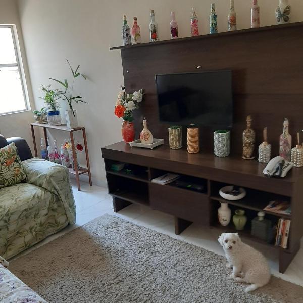 meu pequeno mundo - Foto 4