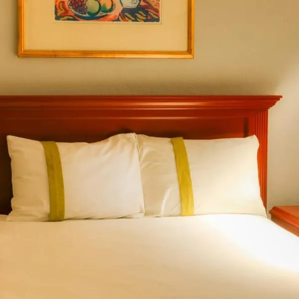 Suites Bajío, hotel v destinaci León