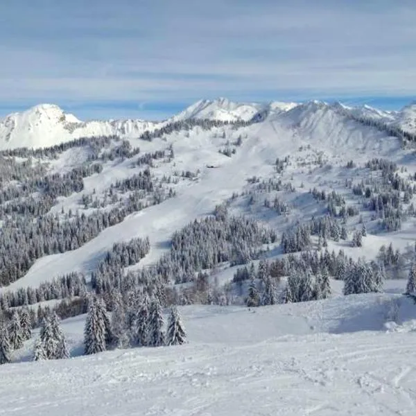 Studio a Les Gets a 300 m des pistes avec jardin et wifi, hôtel aux Gets