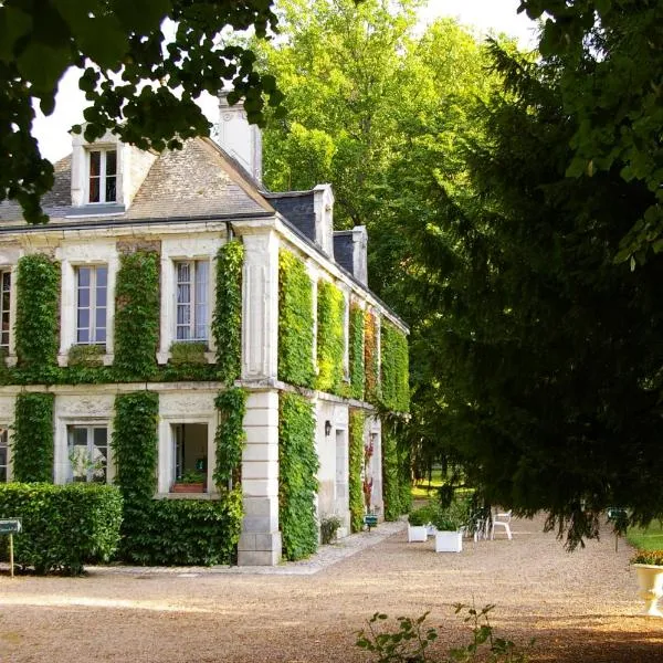 Chambres d'hôtes du domaine de l'Isle, hotel in Civray-de-Touraine