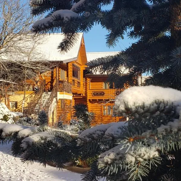 Sadyba Medova nasoloda, hotel in Yasenʼ