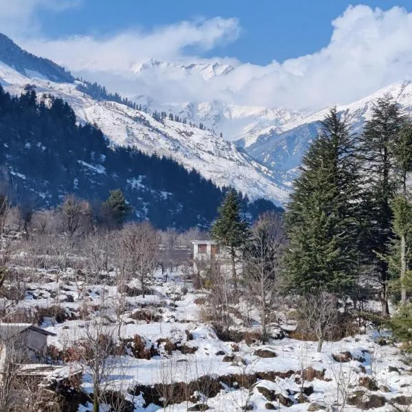 Safar Hostel Manali photo 2