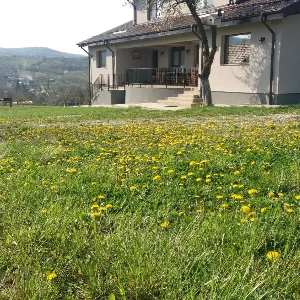 Livada de Zmeura, hotel v destinaci Drăghici