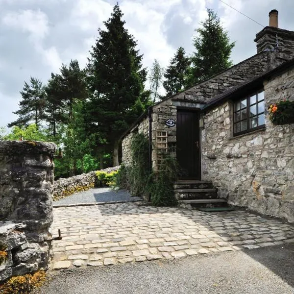 Tipsy Gin Cottage, hotel in Crosthwaite