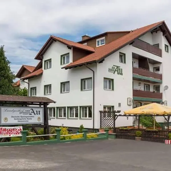 Grüne Au Hotel, hotell i Gelnhausen