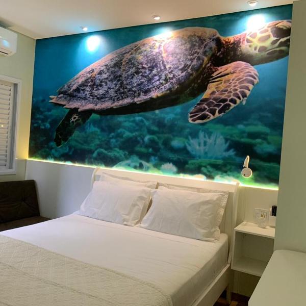 Suite Turtle