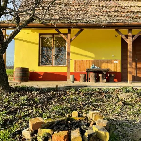 Het Hongaarse Wijnhuis, hotel in Mohács
