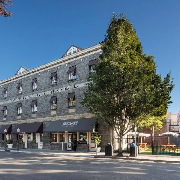 Hotel La Rose, hotel em Santa Rosa