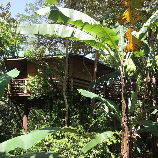 TREEHOUSE PILON PAVONES, khách sạn ở Pavones