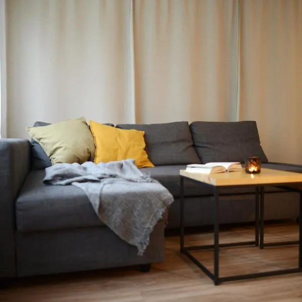 Juodrakantė & Neringa apartment，耶德庫安特的飯店