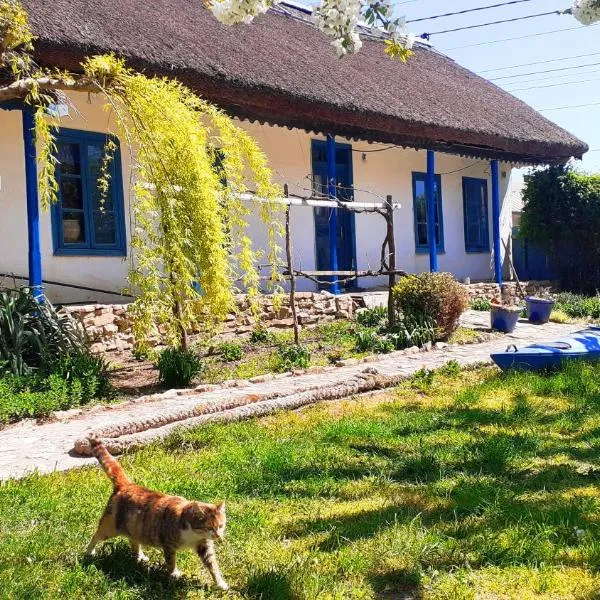 Traditional House in Danube Delta, hotel in Jurilovca