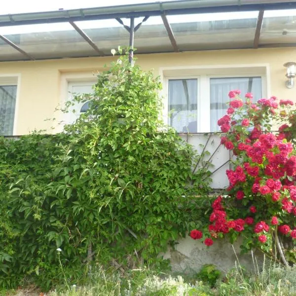 Ferienhaus 1, hotel v destinaci Elbingerode
